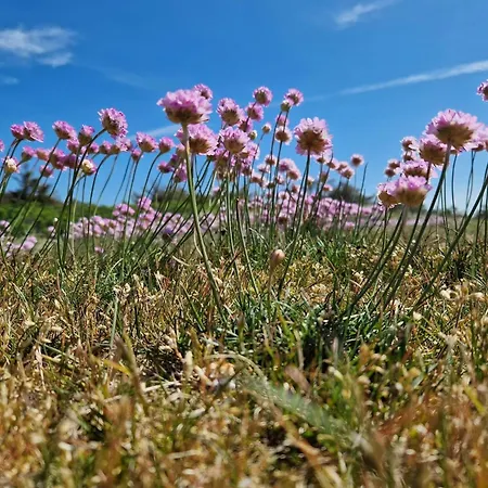 Tranquil Retreat In - By Traum Klitmøller