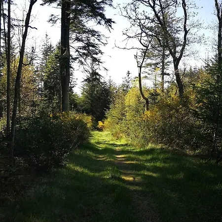 Tranquil Retreat In - By Traum *