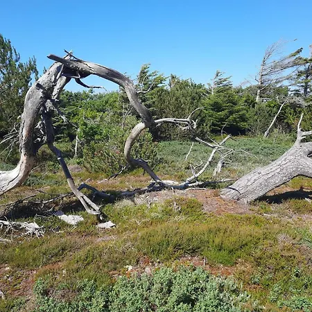 Tranquil Retreat In - By Traum