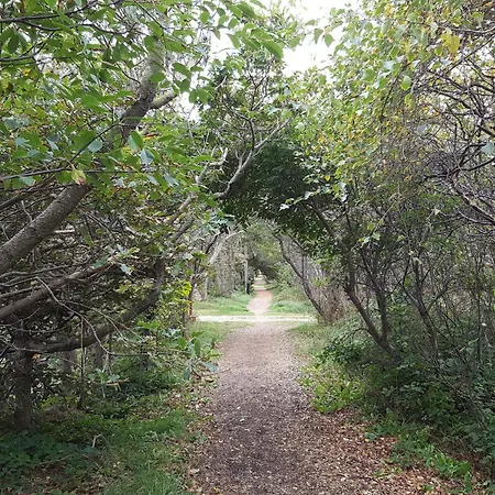 Casa vacanze Tranquil Retreat In - By Traum *